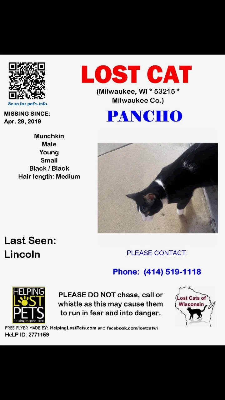 Lost cat in Milwaukee, WI, 53215