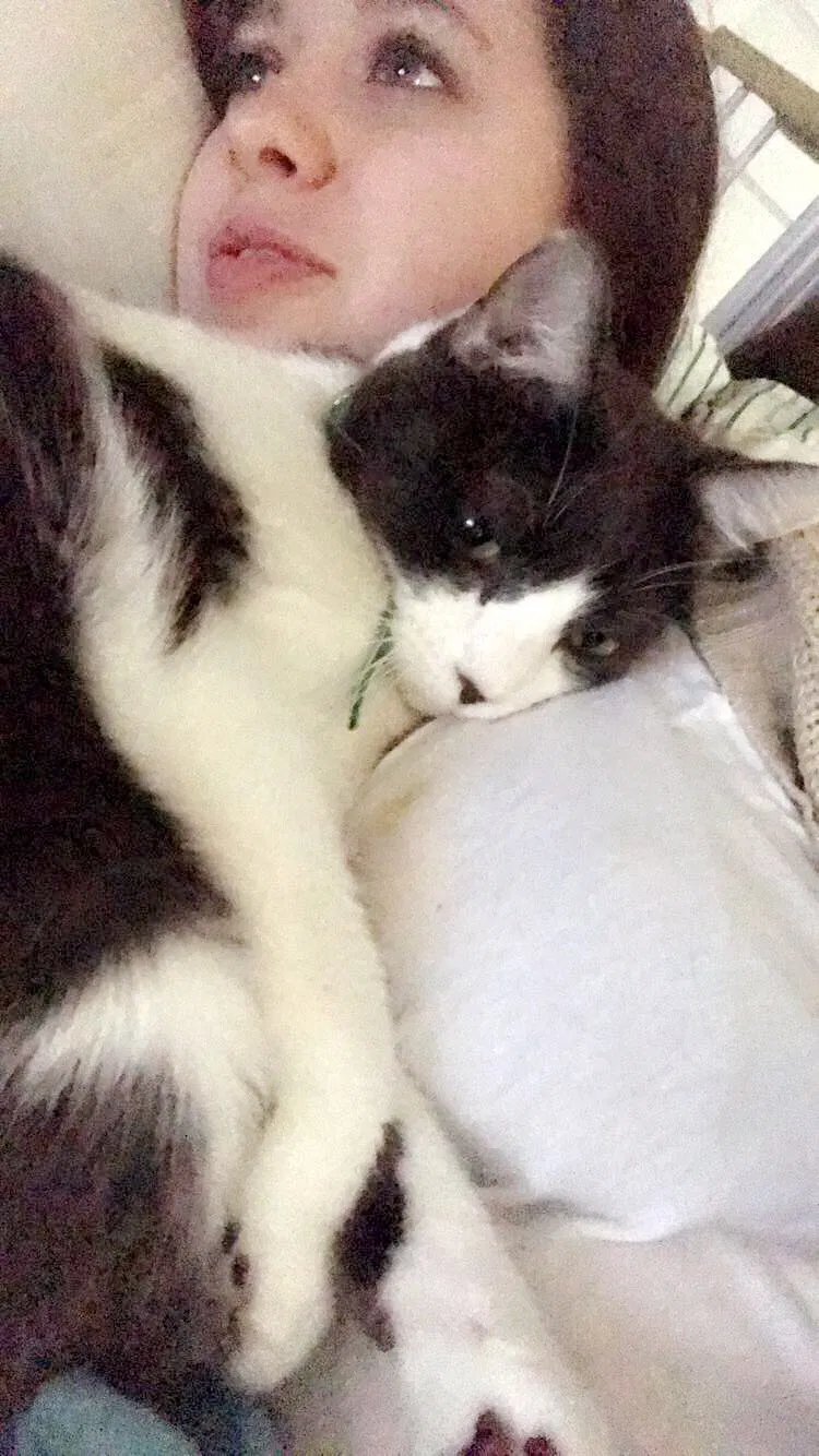 Lost cat in Dayton, TX, 77535