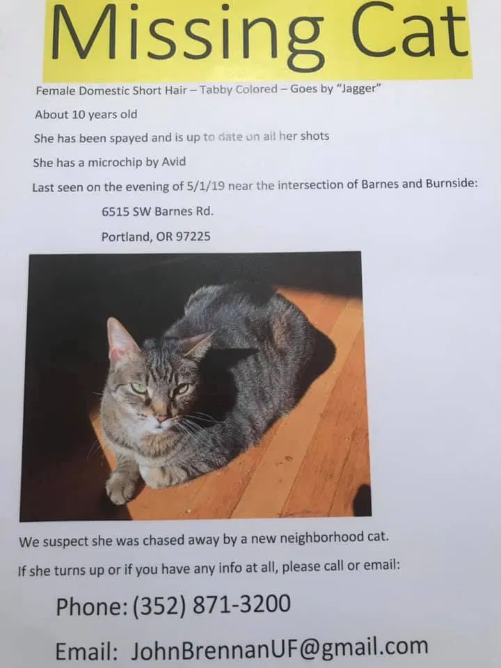 Lost cat in Portland, OR, 97225