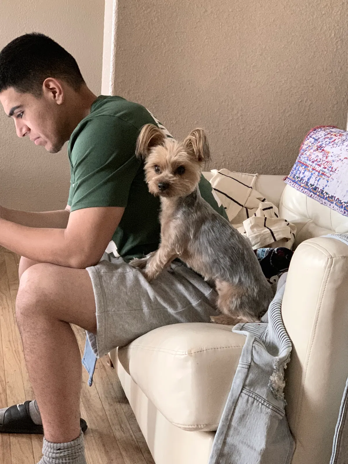 Lost dog in El Paso, TX, 79915