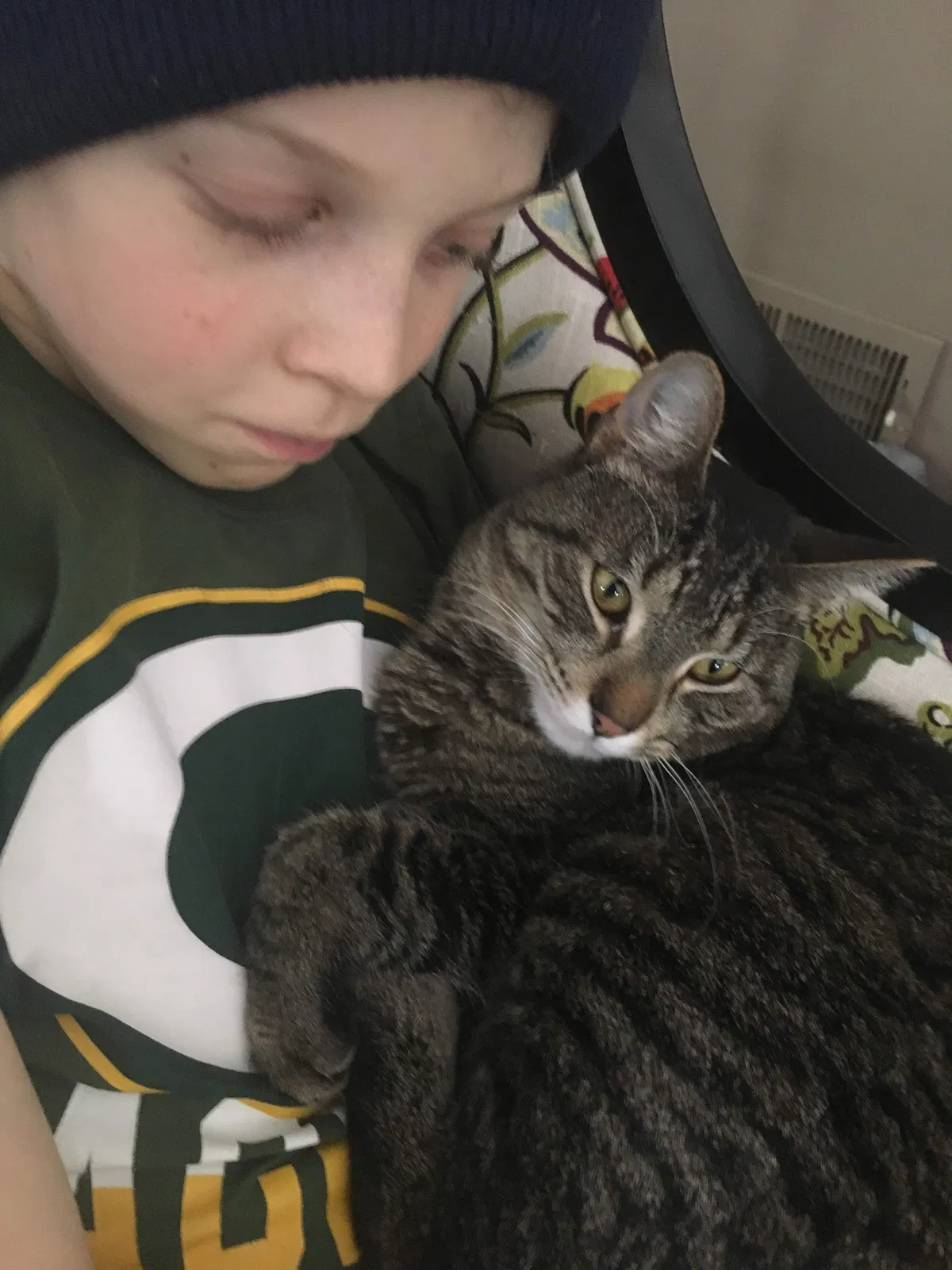Lost cat in Madison, WI, 53711