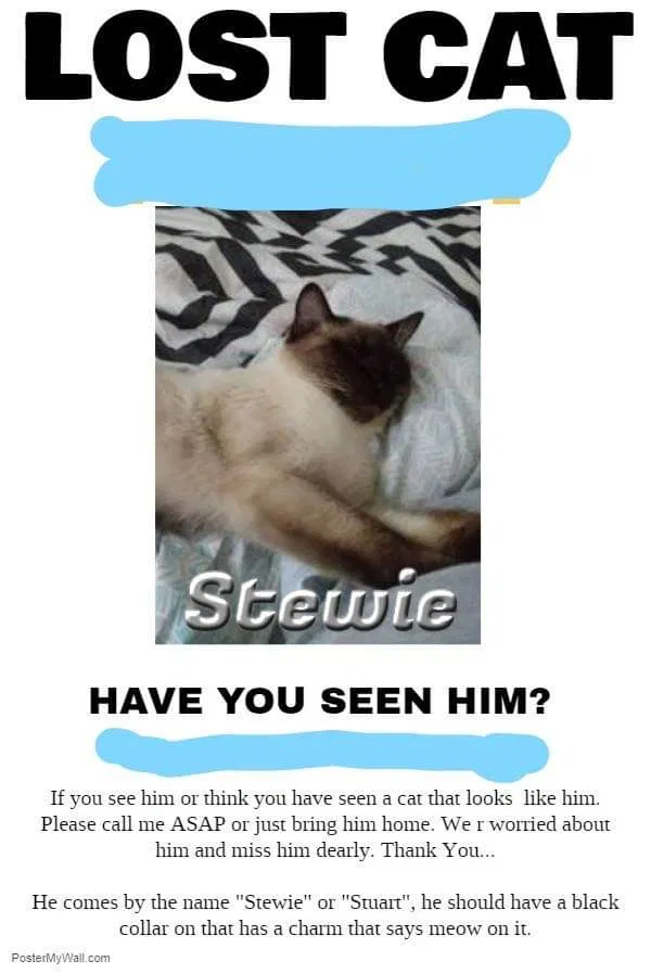 Lost cat in Henderson, NC, 27537