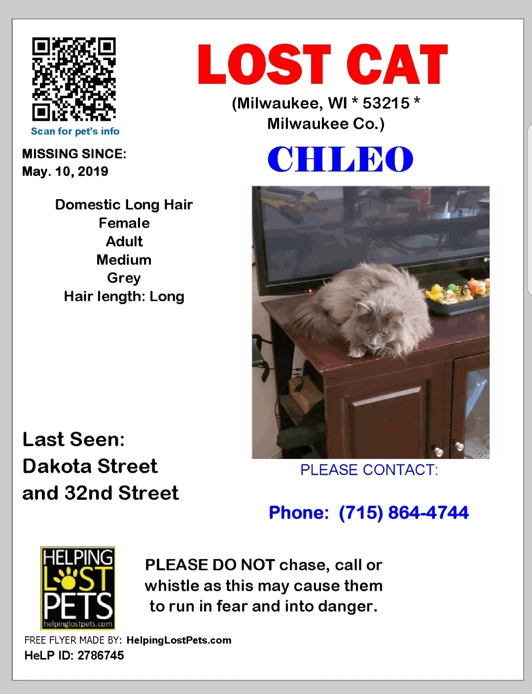 Lost cat in Milwaukee, WI, 53215