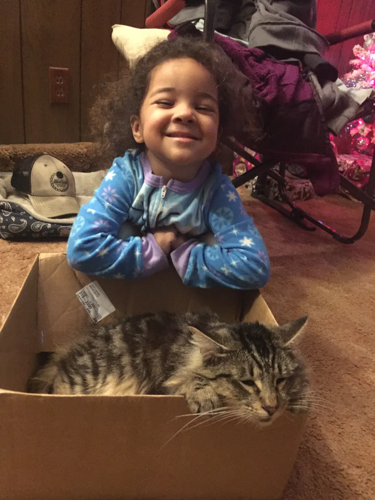 Lost cat in Oklahoma City, OK, 73149