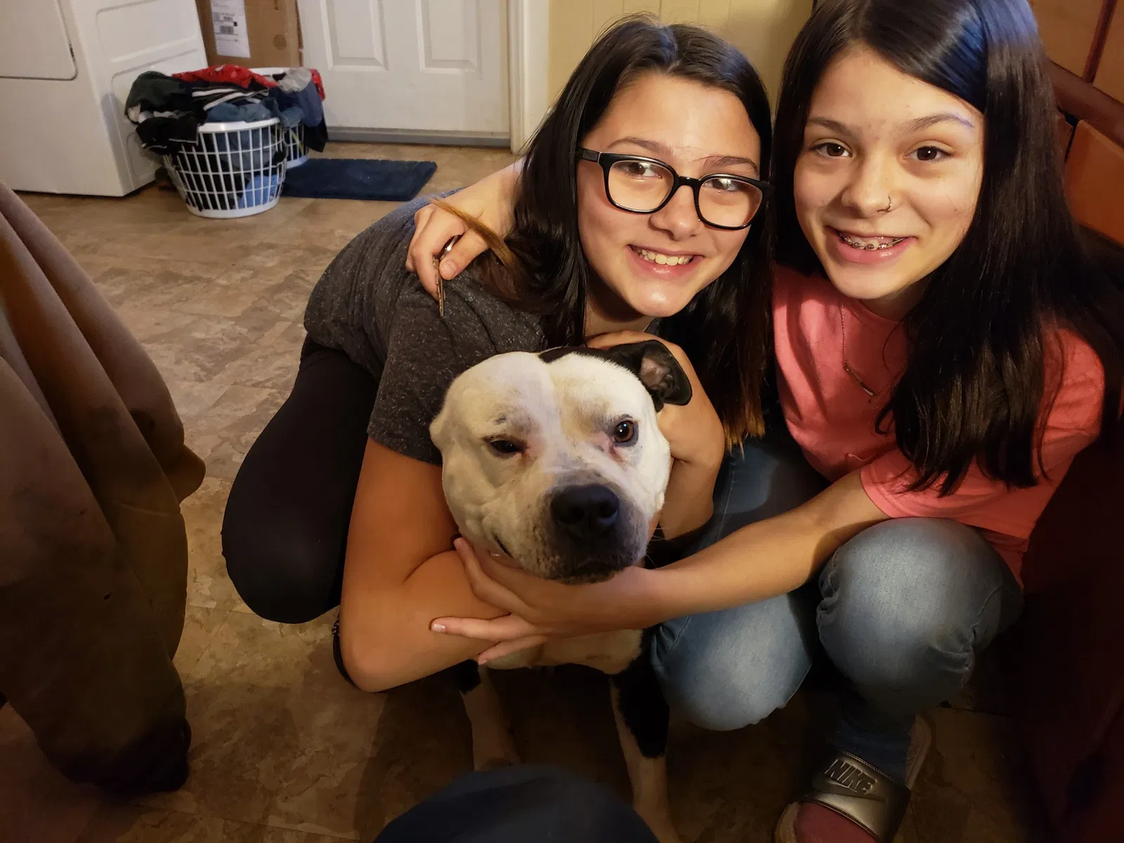 Lost dog in Graham, NC, 27253