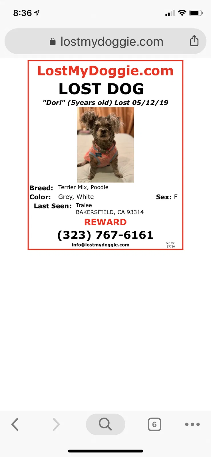Lost dog in Bakersfield, CA, 93314