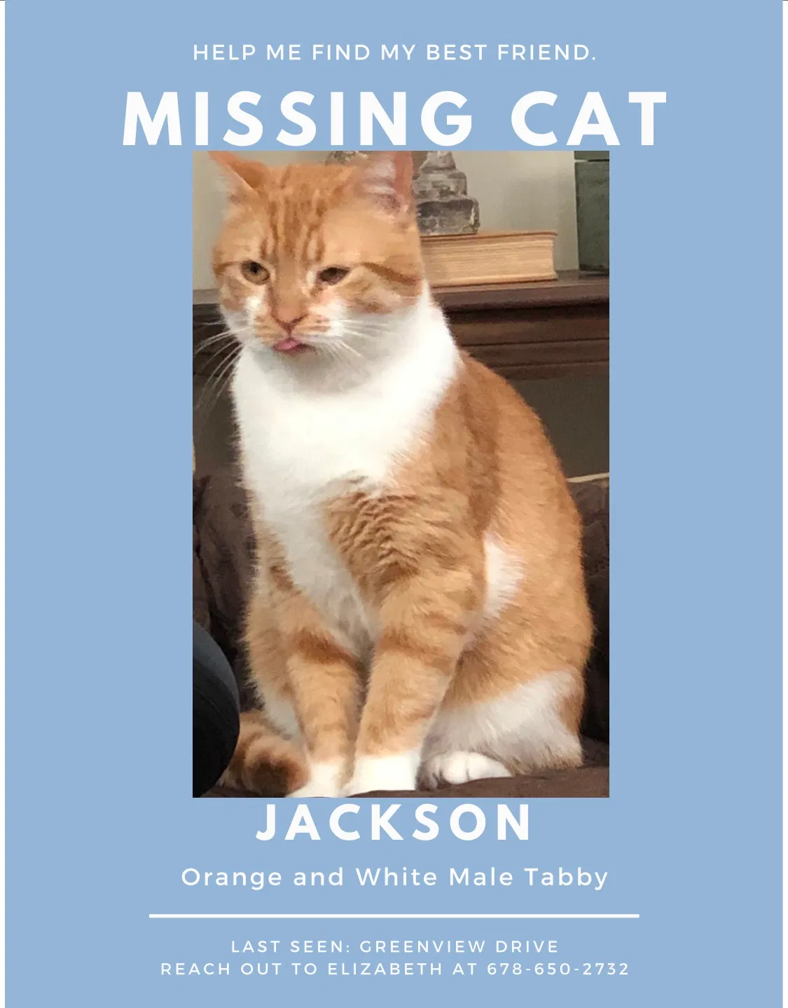 Lost cat in Newnan, GA, 30265