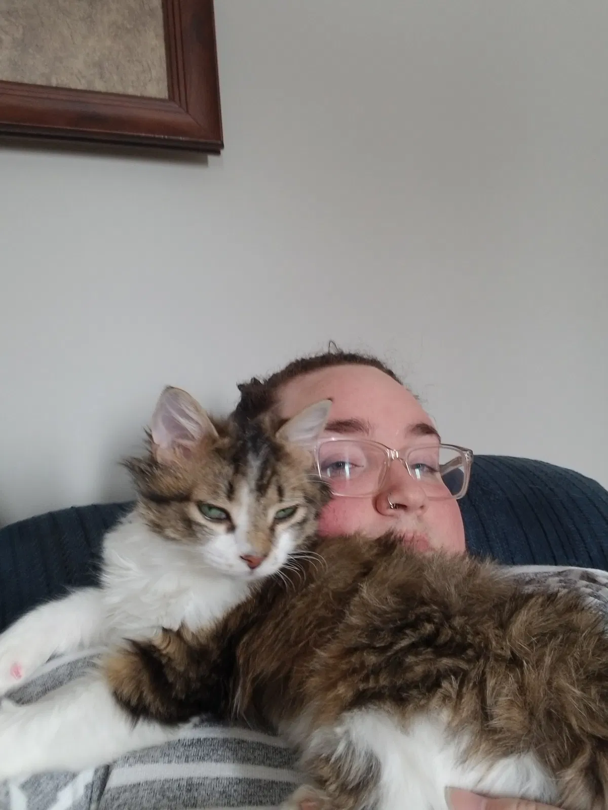 Lost cat in Minneapolis, MN, 55445