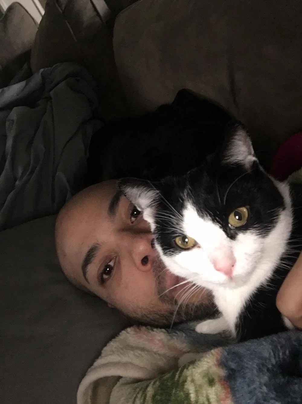 Lost cat in Gowen, MI, 49326
