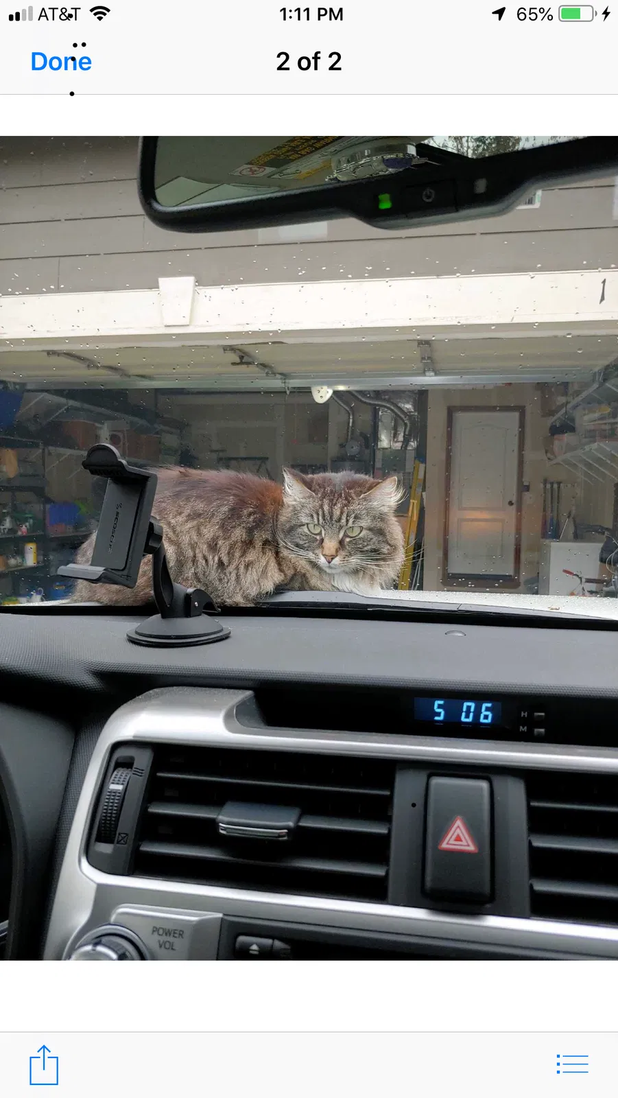 Lost cat in Lake Stevens, WA, 98258