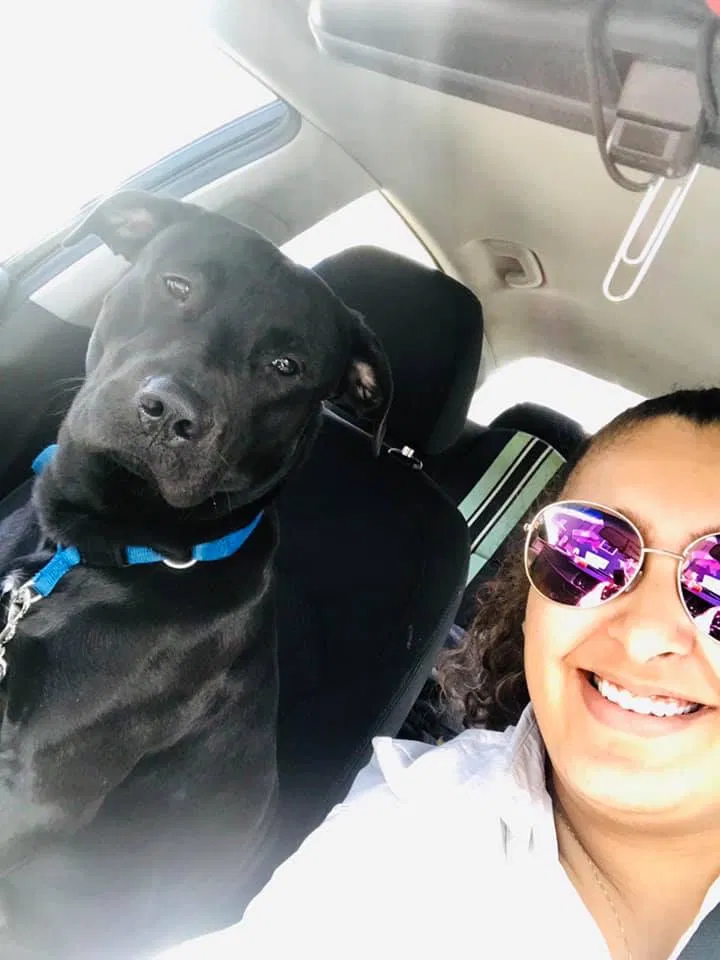 Lost dog in Vandalia, MI, 49095