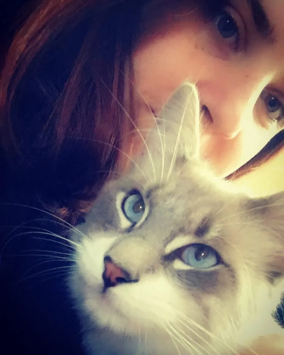 Lost cat in Victorville, CA, 92394