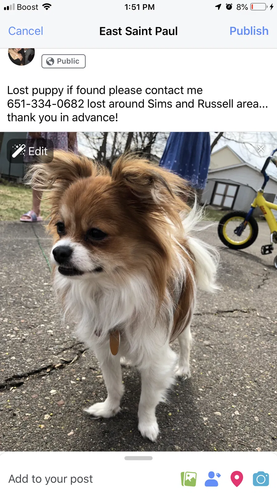 Lost dog in Saint Paul, MN, 55106