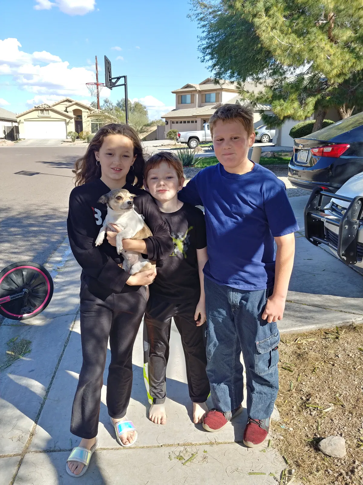 Lost dog in Tempe, AZ, 85281