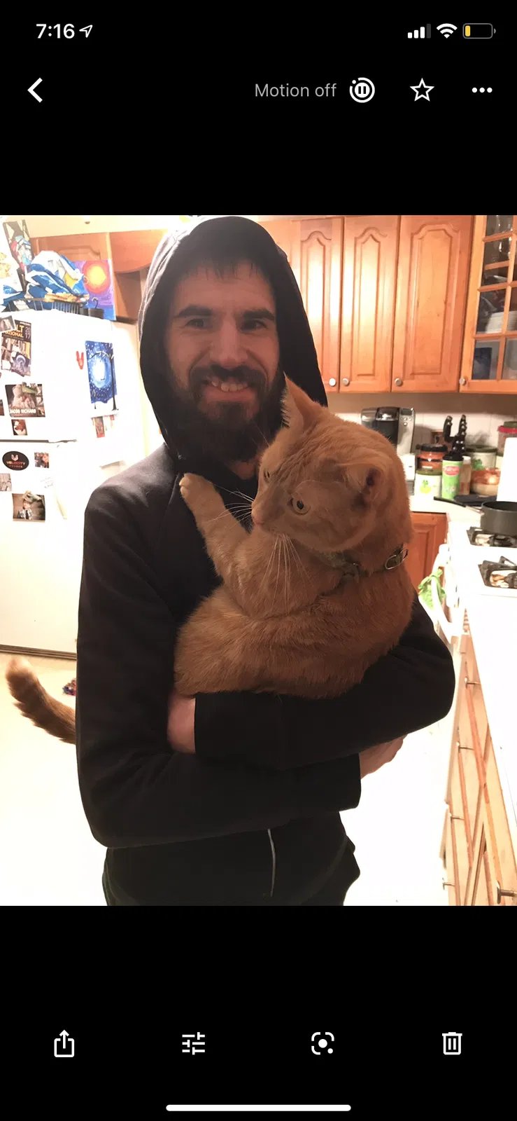 Lost cat in Columbus, OH, 43204