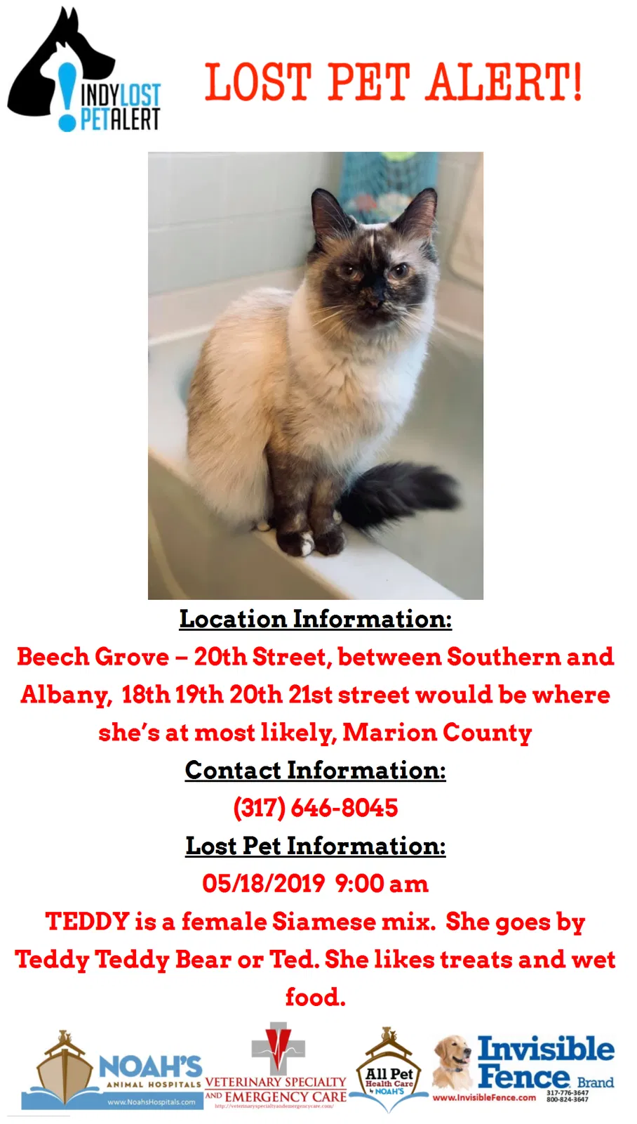 Lost cat in Beech Grove, IN, 46107