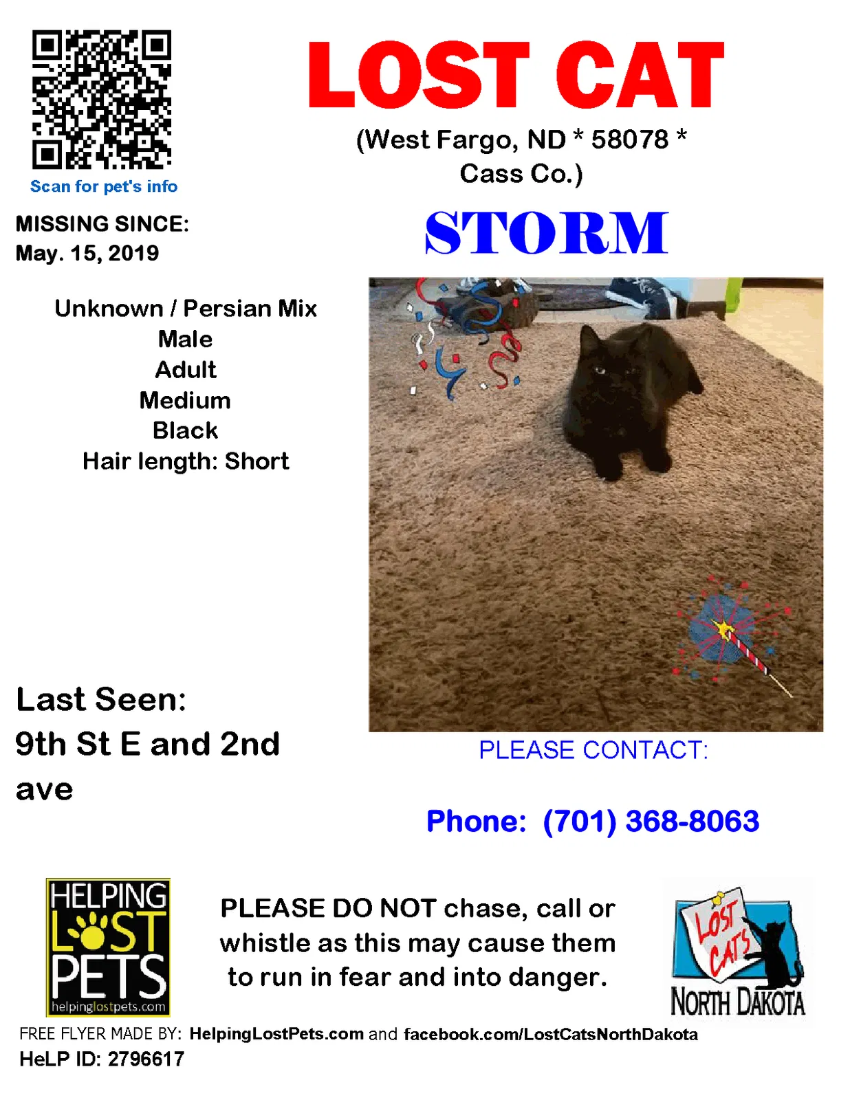 Lost cat in West Fargo, ND, 58078