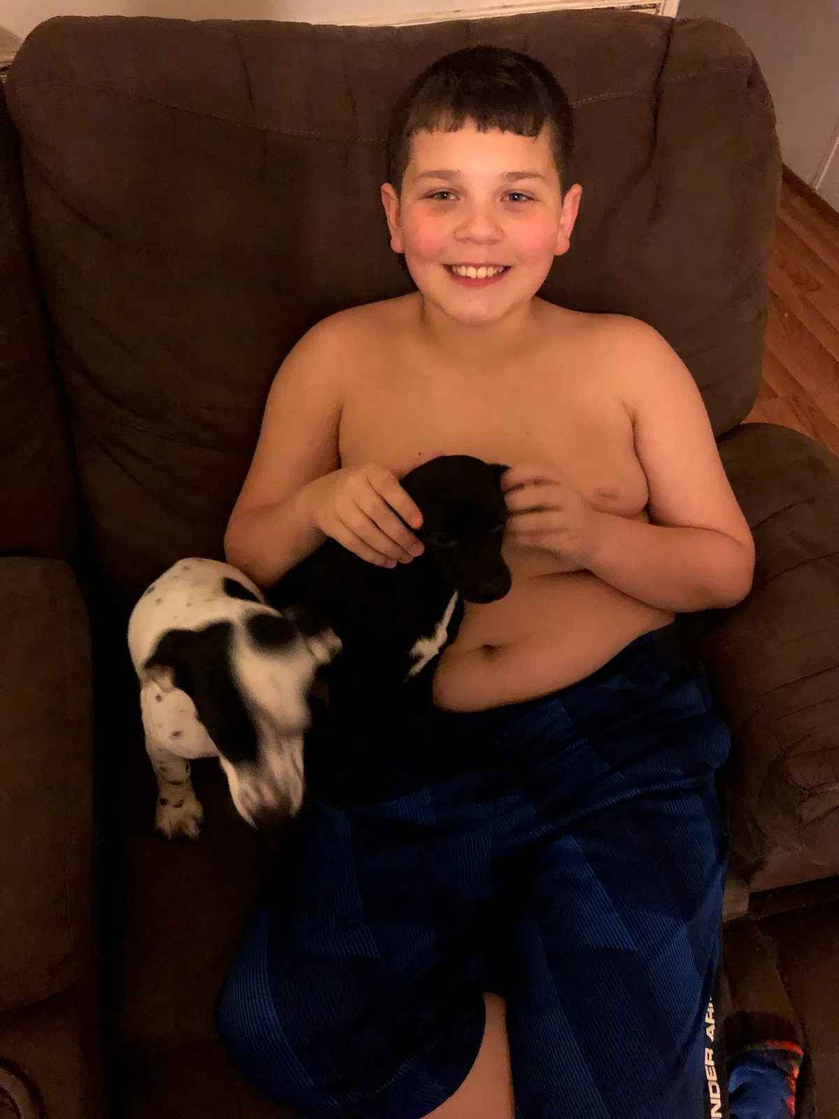 Lost dog in Fountain Inn, SC, 29644