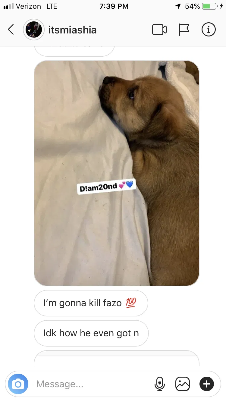 Lost dog in Spartanburg, SC, 29303