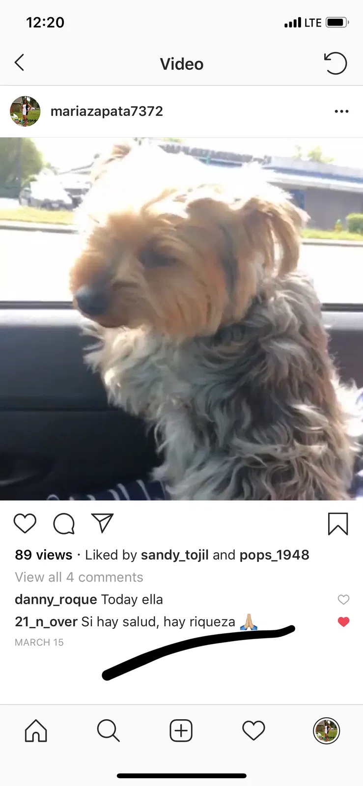 Lost dog in Savannah, GA, 31406
