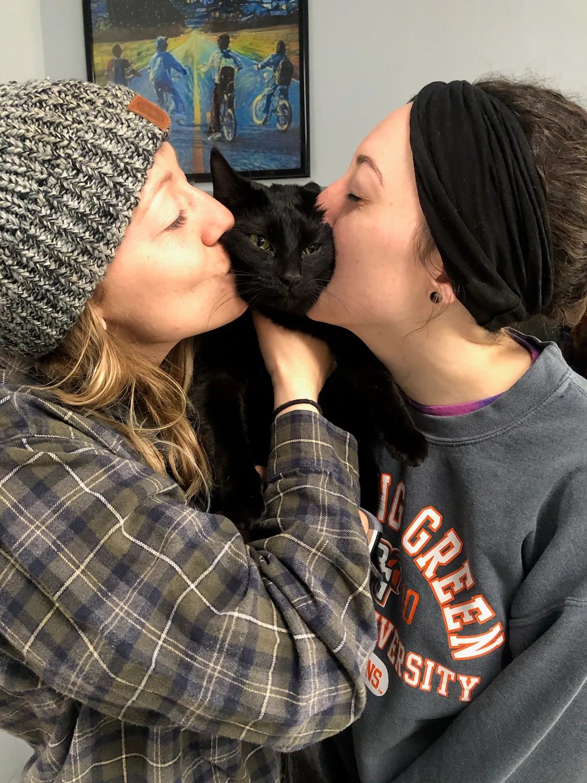 Lost cat in Denver, CO, 80228