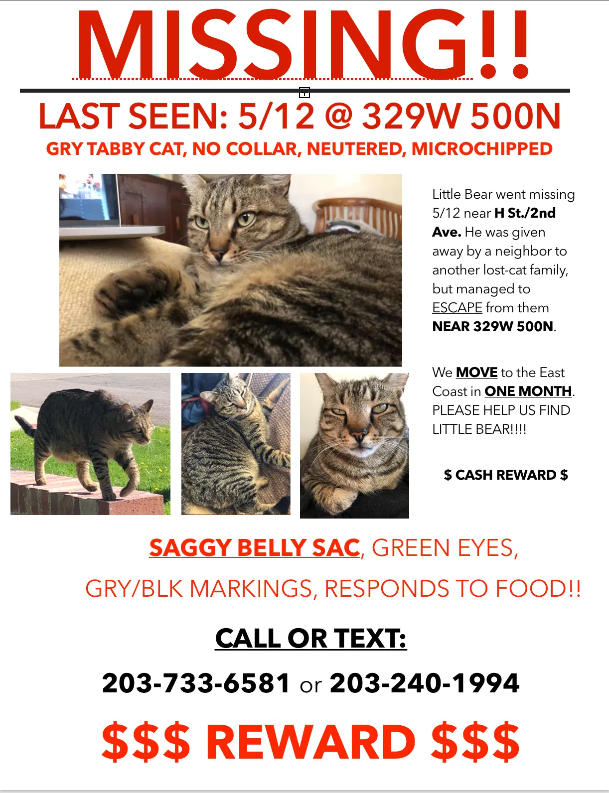 Lost cat in Salt Lake City, UT, 84103