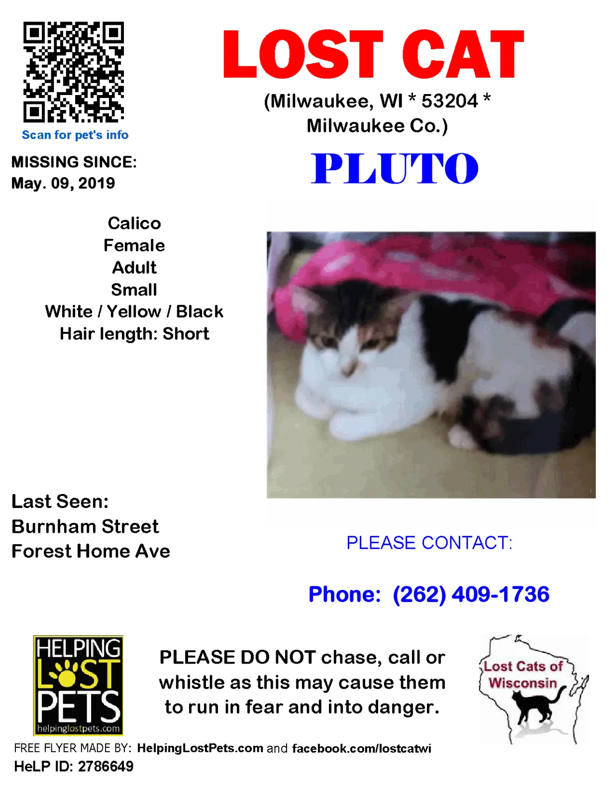 Lost cat in Milwaukee, WI, 53204