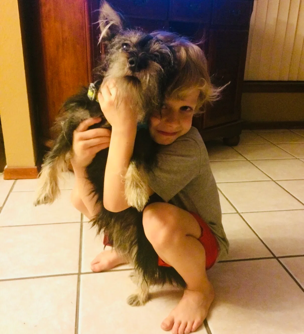 Lost dog in Pflugerville, TX, 78660