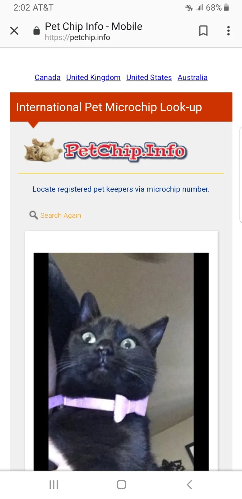Lost cat in Barling, AR, 72923
