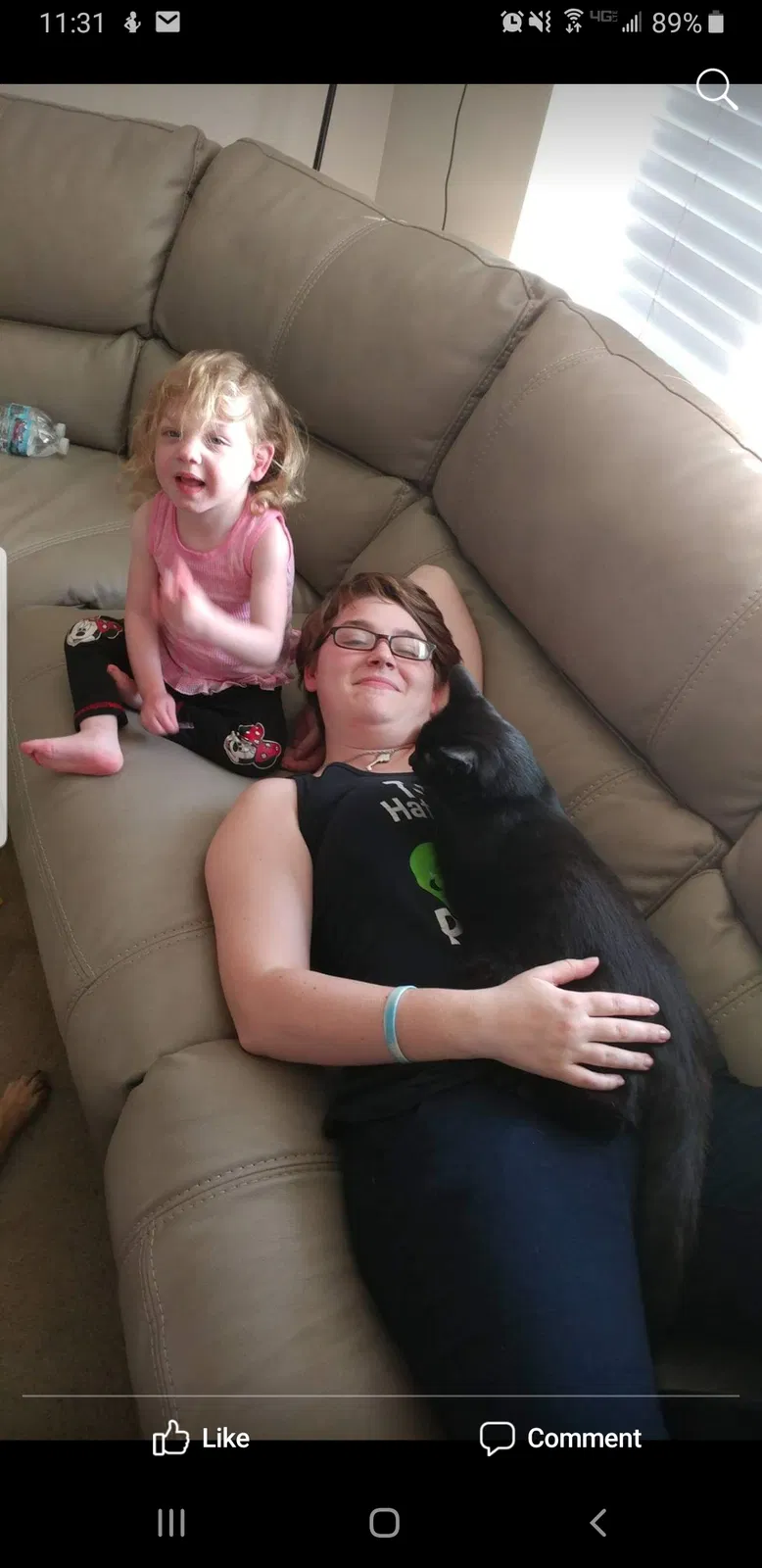 Lost cat in Fort Oglethorpe, GA, 30742
