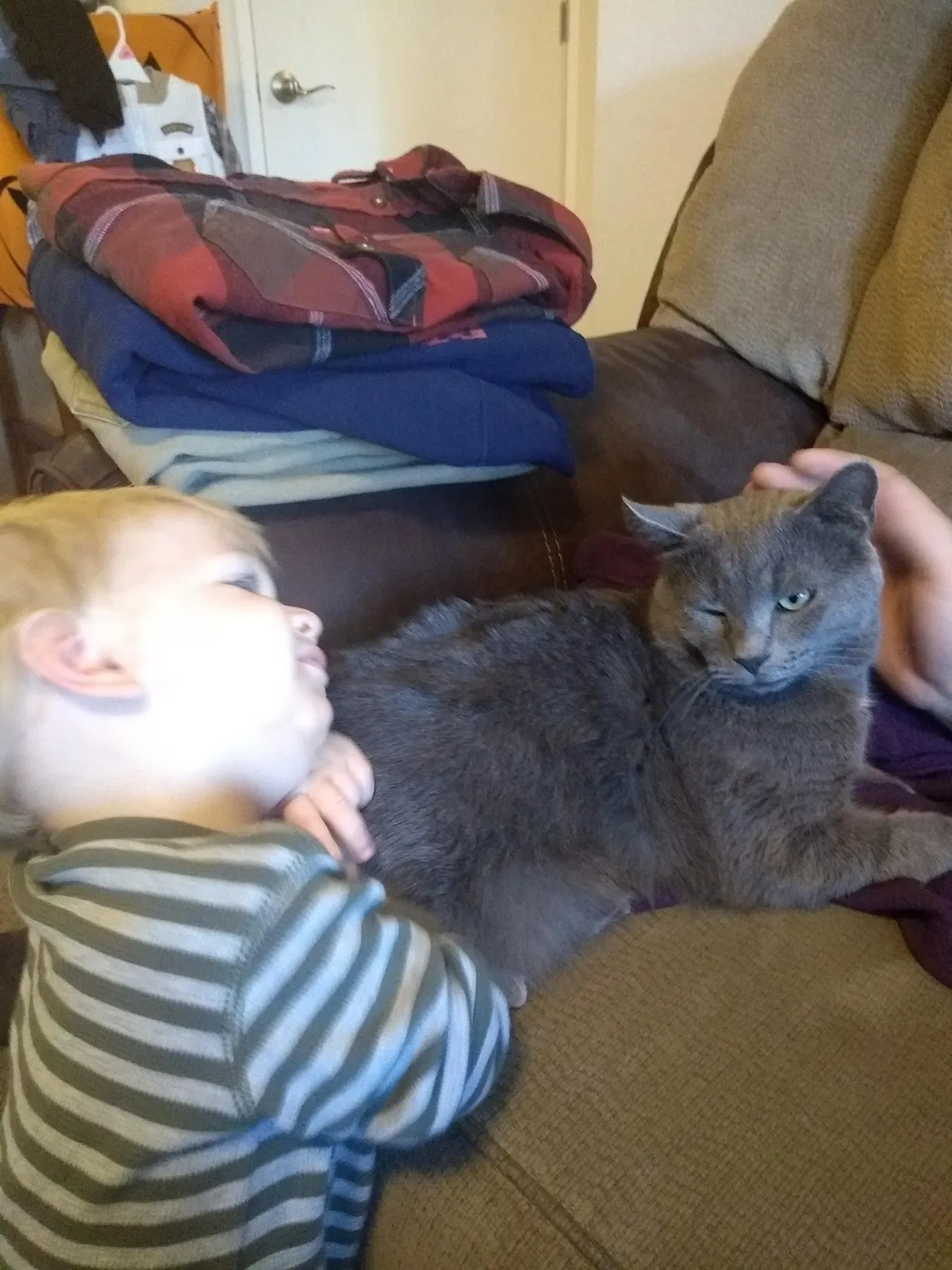 Lost cat in Bend, OR, 97701