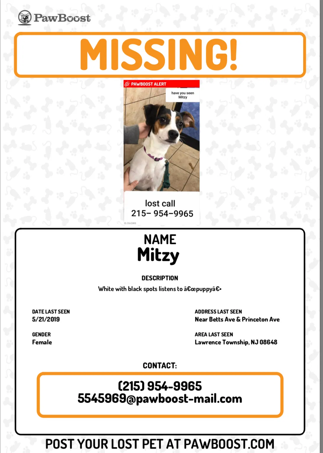 Lost dog in Lawrence Township, NJ, 8648