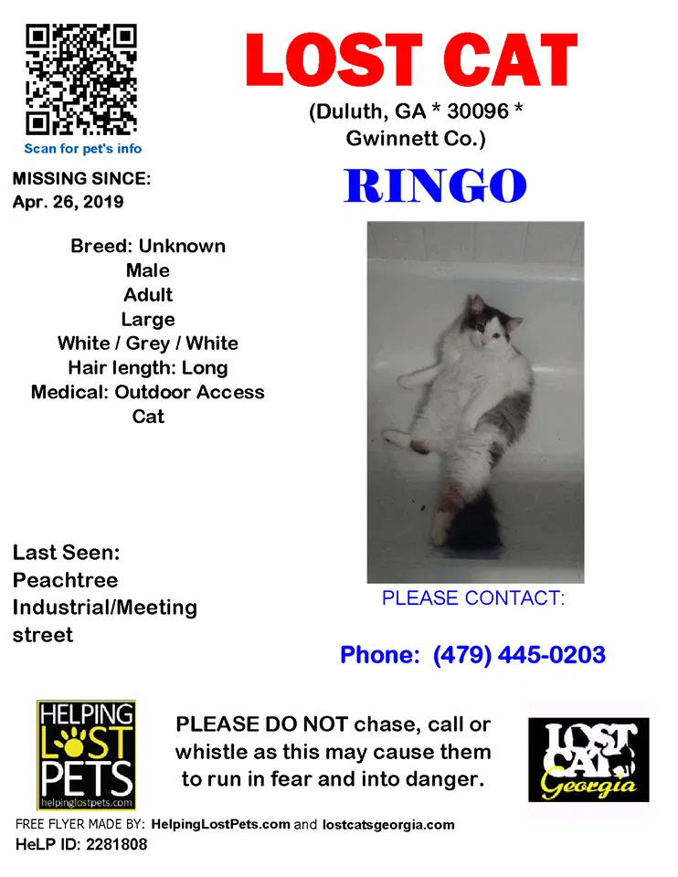 Lost cat in Duluth, GA, 30096