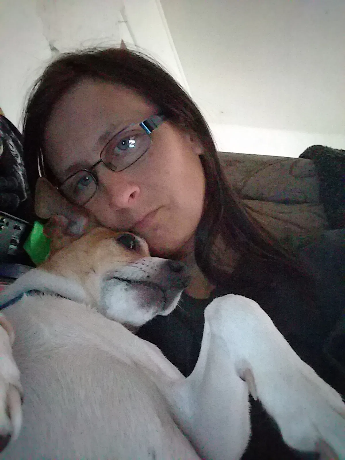 Lost dog in Salida, CO, 81201
