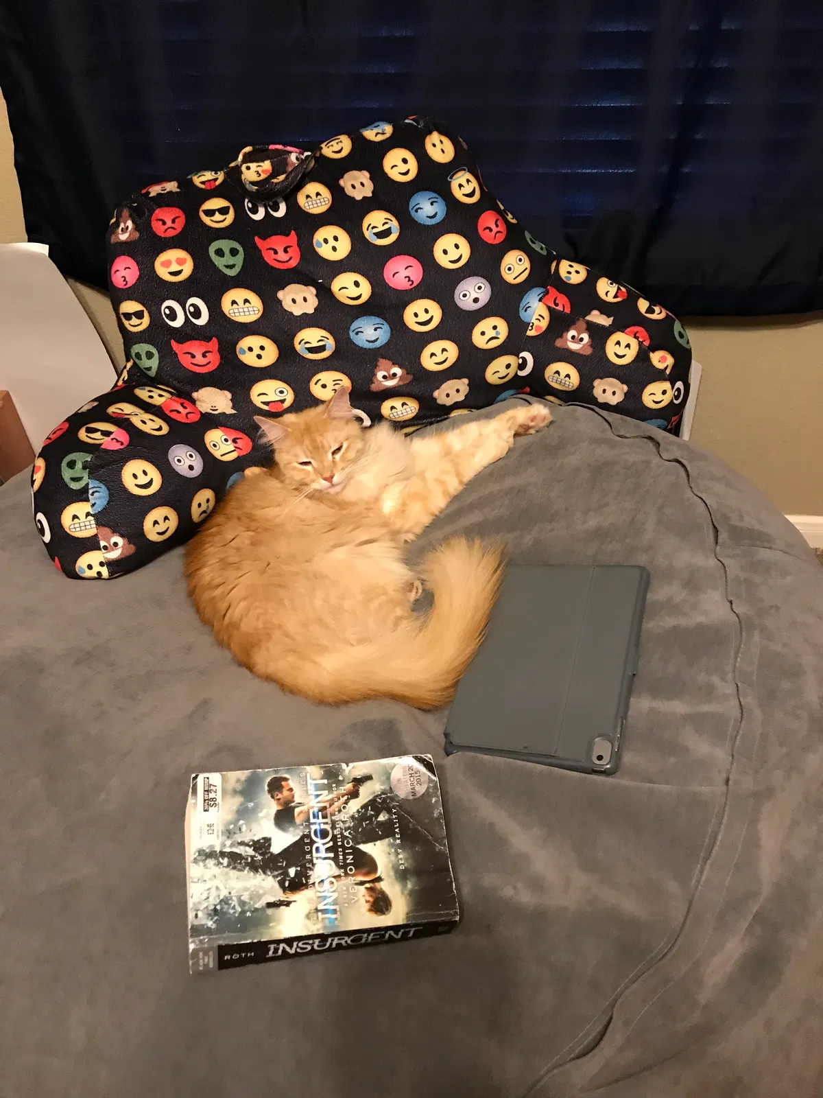 Lost cat in Katy, TX, 77494