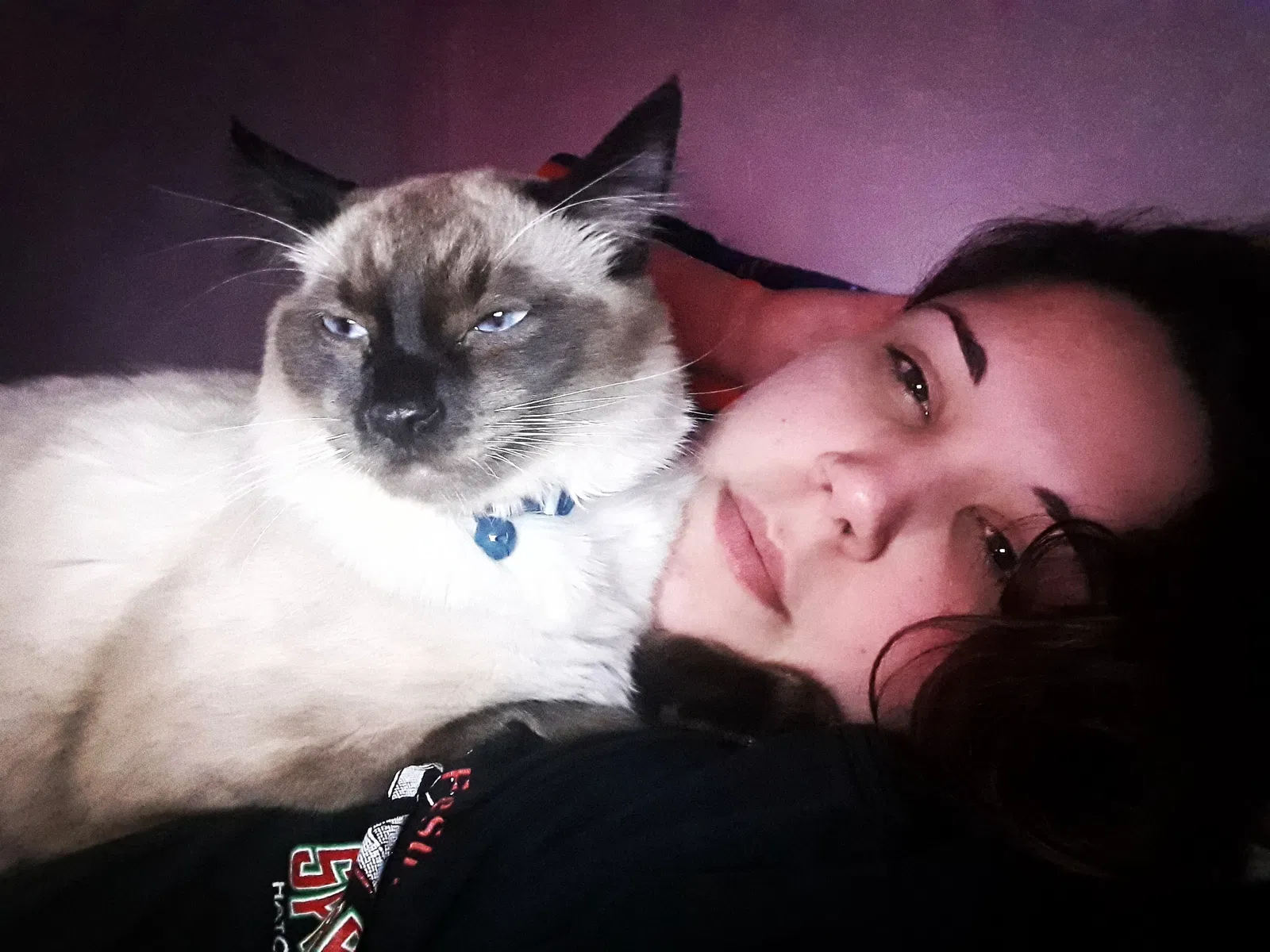 Lost cat in Idaho Falls, ID, 83402