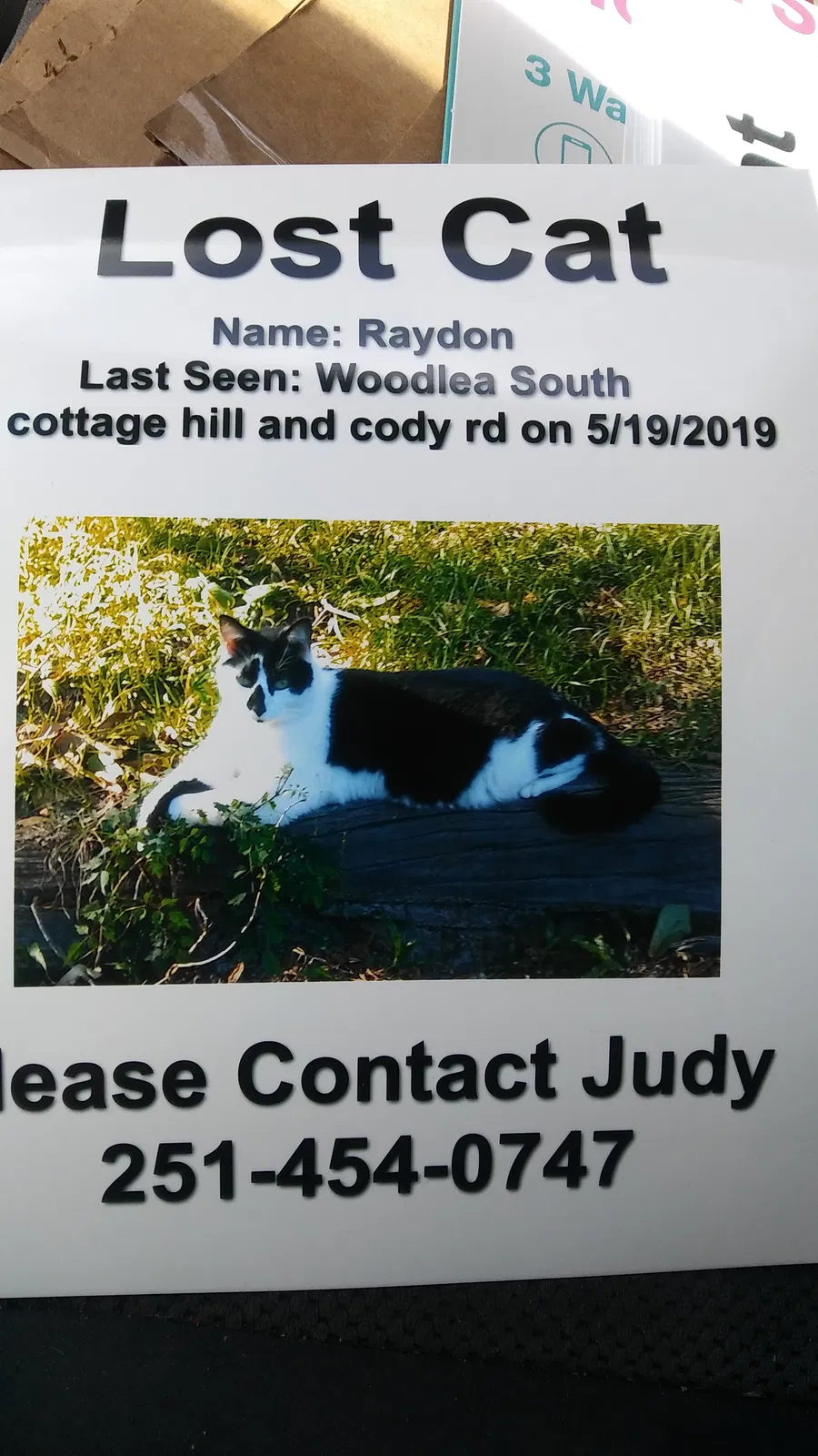 Lost cat in Mobile, AL, 36695