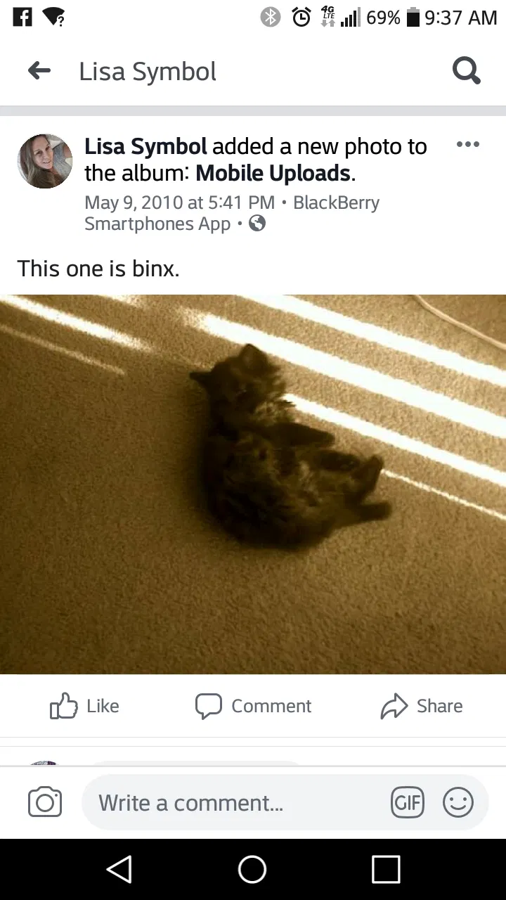 Lost cat in West Palm Beach, FL, 33415