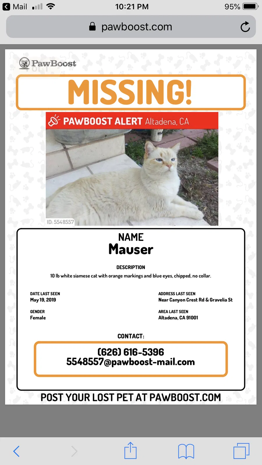 Lost cat in Altadena, CA, 91001