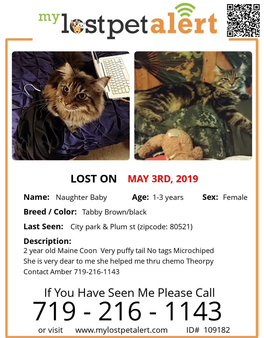Lost cat in Fort Collins, CO, 80521