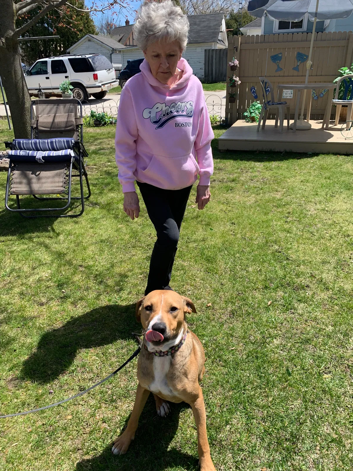 Lost dog in Two Rivers, WI, 54241