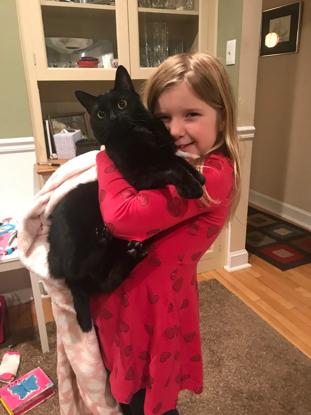Lost cat in Lancaster, PA, 17601