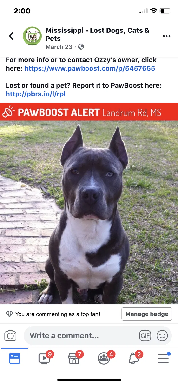 Lost dog in Stewart, MS, 39767