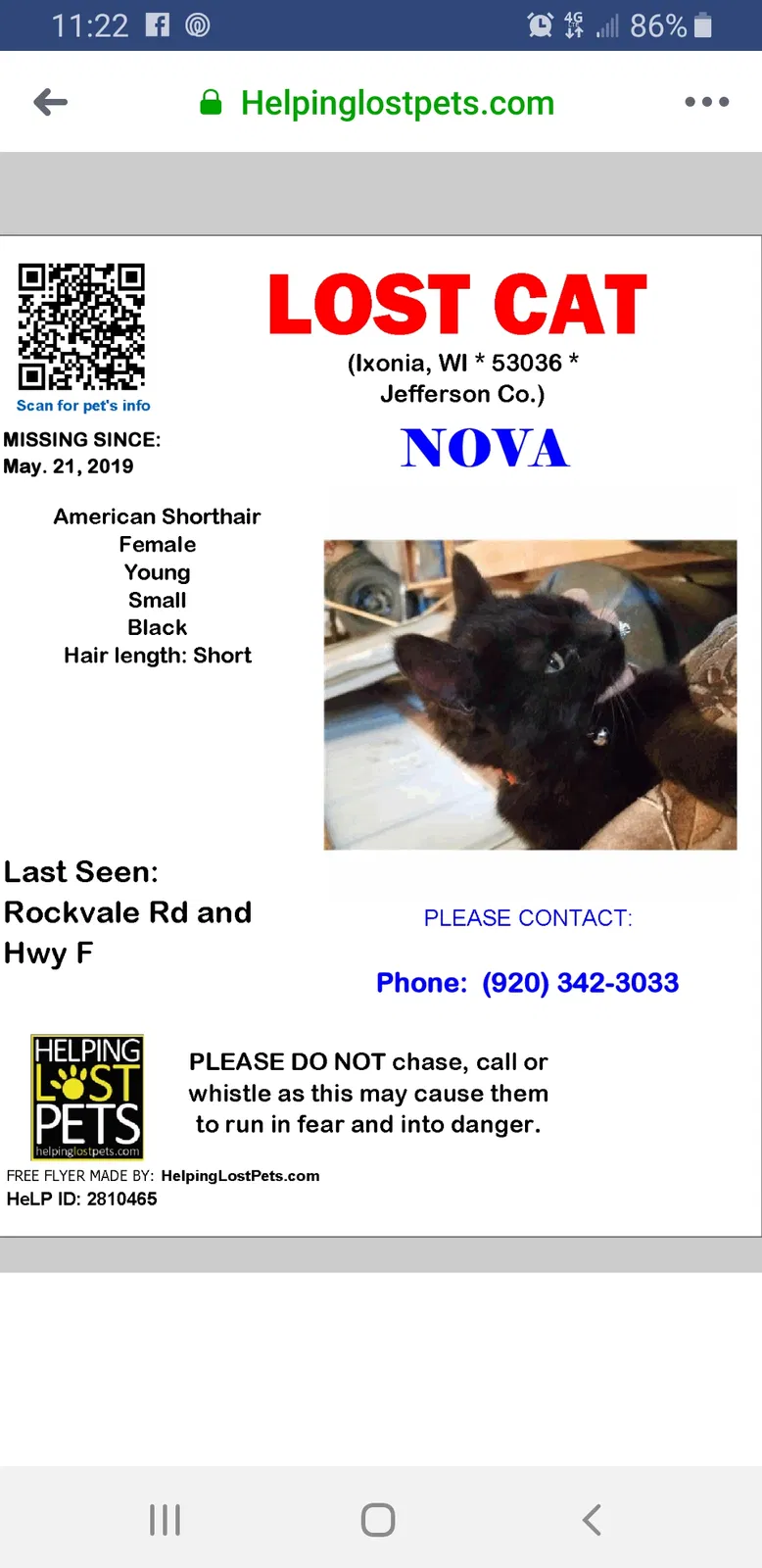 Lost cat in Oconomowoc, WI, 53066