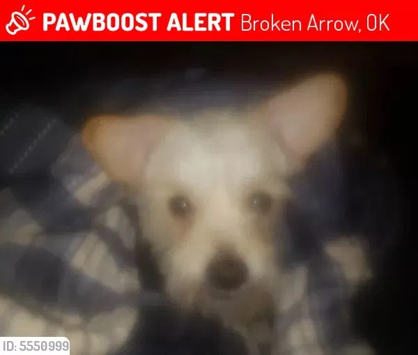 Lost dog in Broken Arrow, OK, 74012