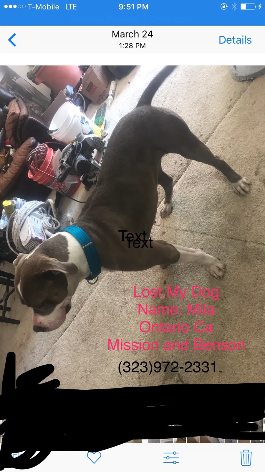 Lost dog in Ontario, CA, 91762