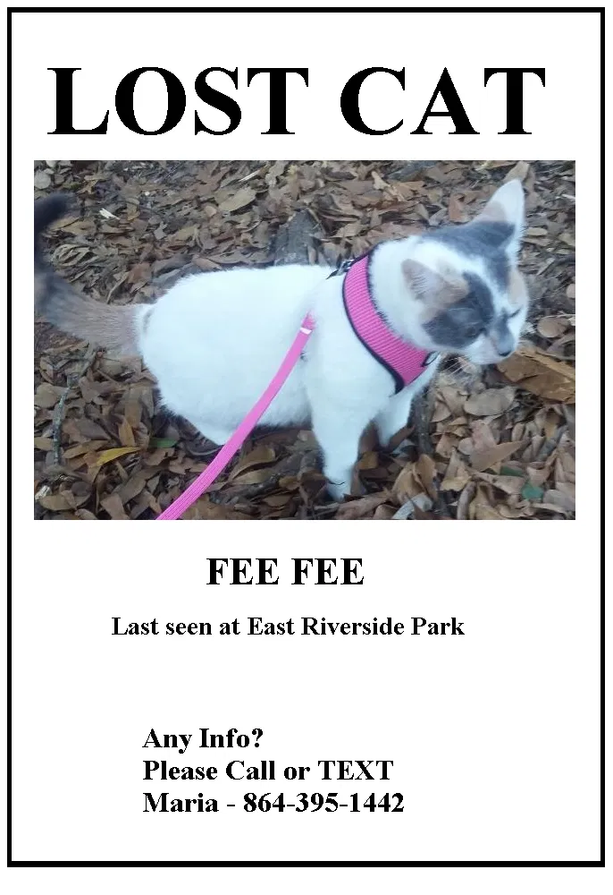 Lost cat in Greer, SC, 29651