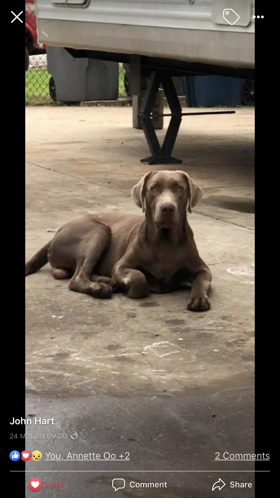 Lost dog in Dallas, TX, 75224