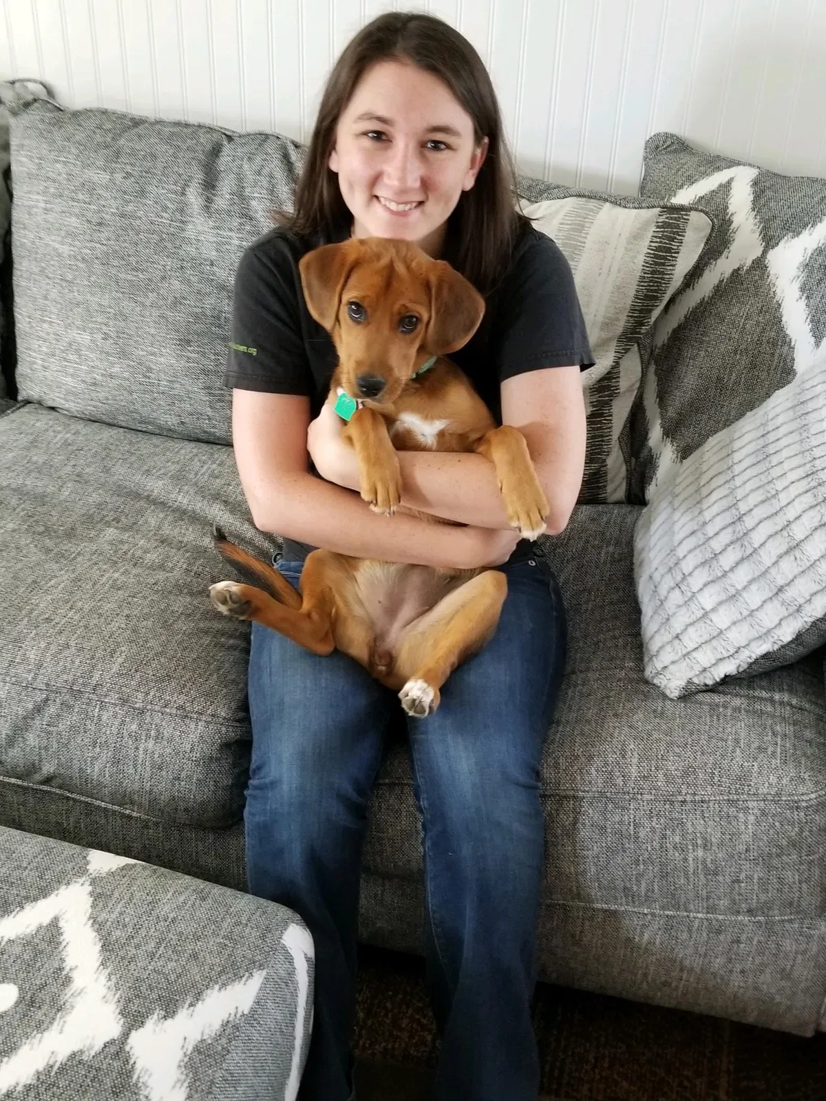 Lost dog in Greensboro, NC, 27406
