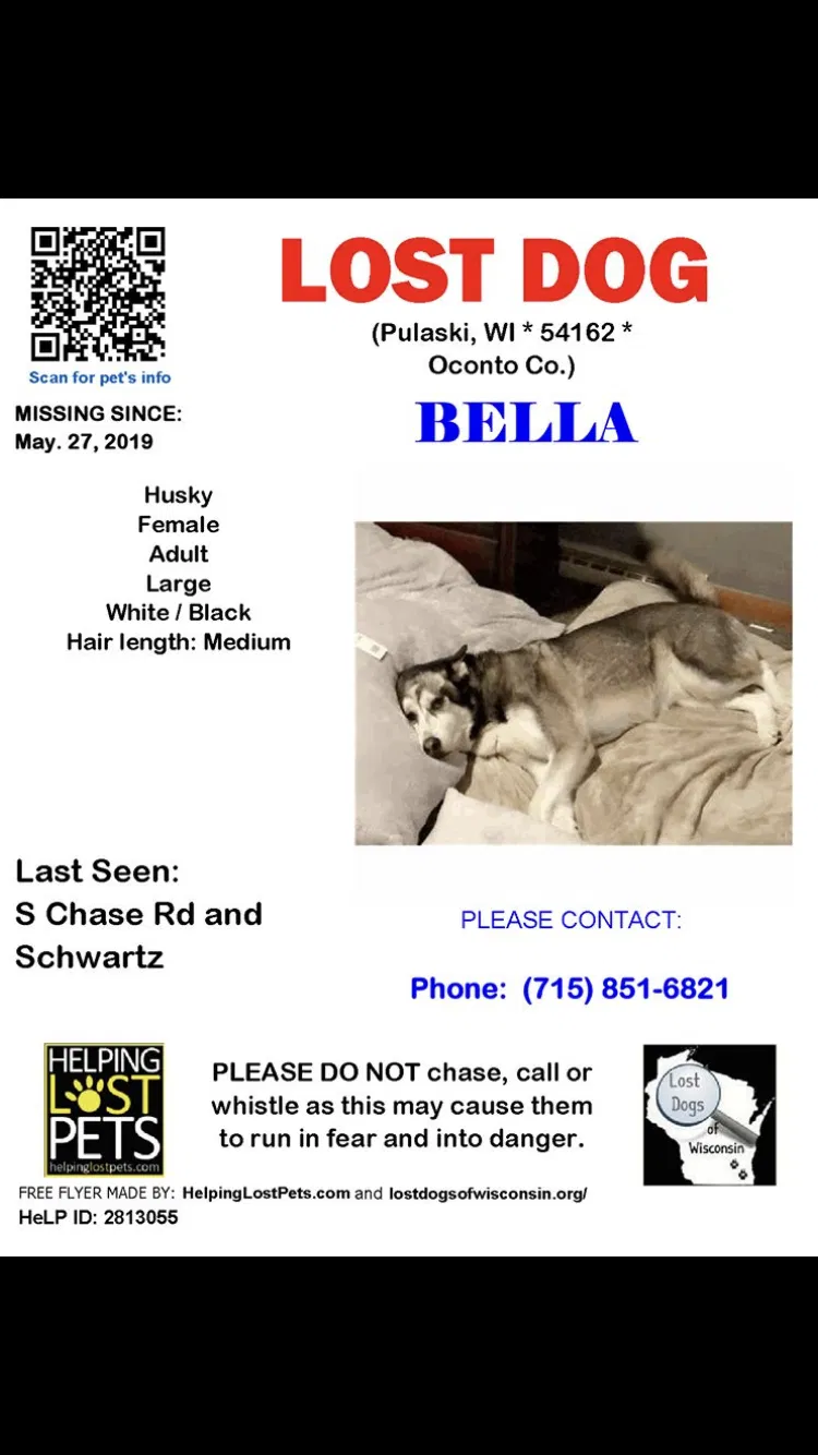 Lost dog in Pulaski, WI, 54162